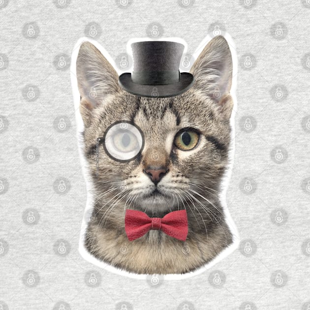 Monocle Cat by madmonkey